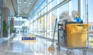 Best Home Cleaning Services in Sydney for Corporate Needs (2024)