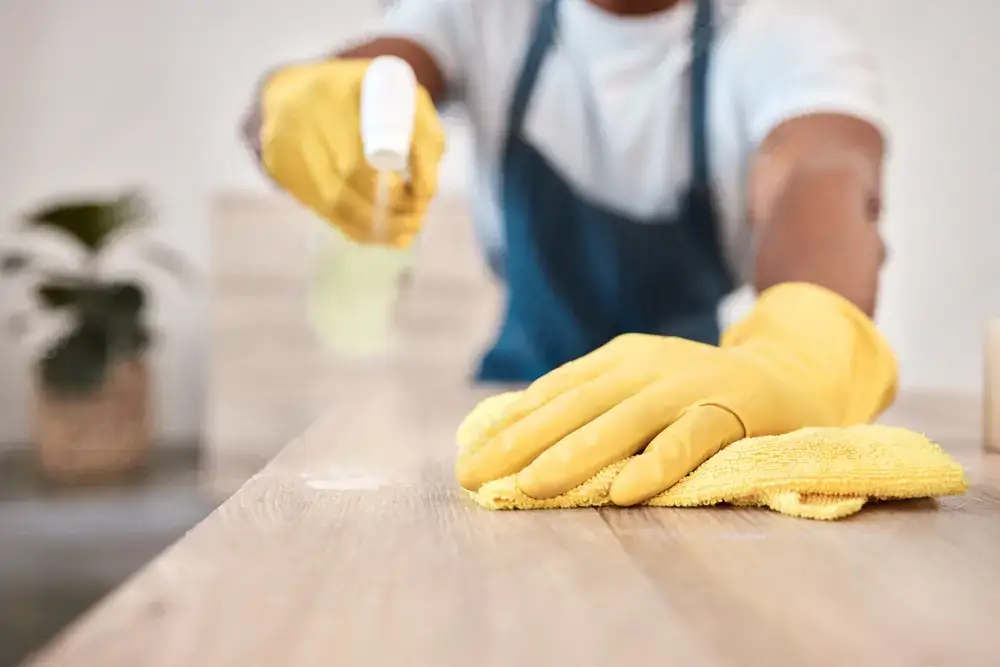Kitchen Cleaning