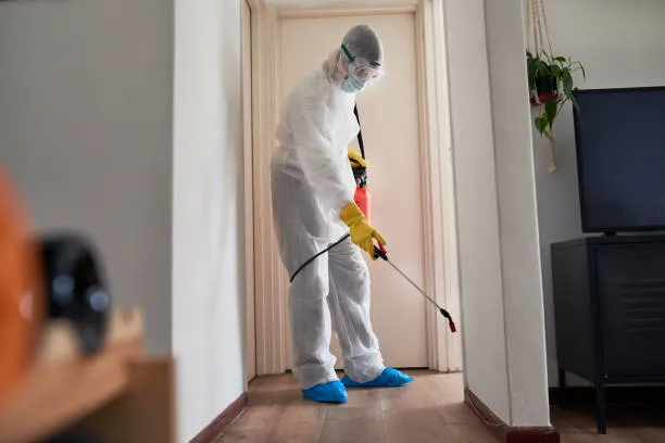 Mould Removal Services in Sydney