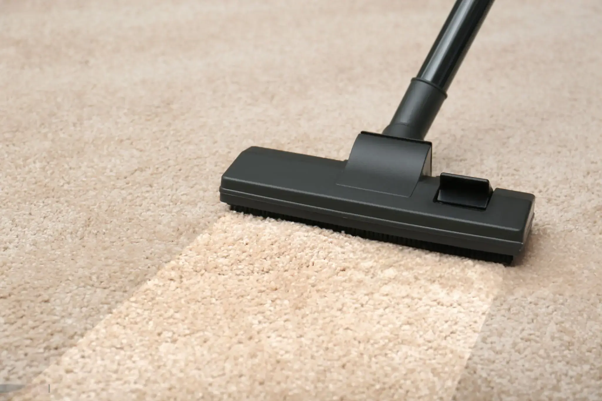 Steam Cleaning Carpet Sydney