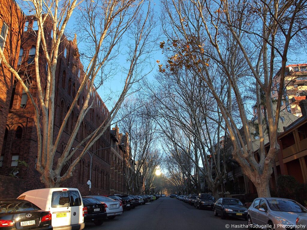 Balcony views from apartments on Victoria Street perfect for soaking up the Potts Point atmosphere.