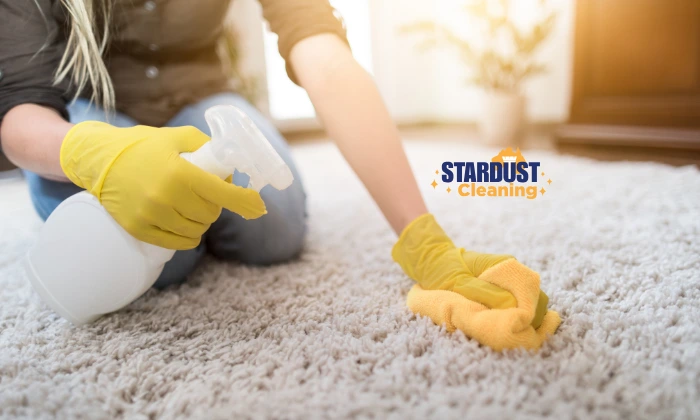 Remove Carpet Stains Like a Pro A Guide for Longueville Homeowners